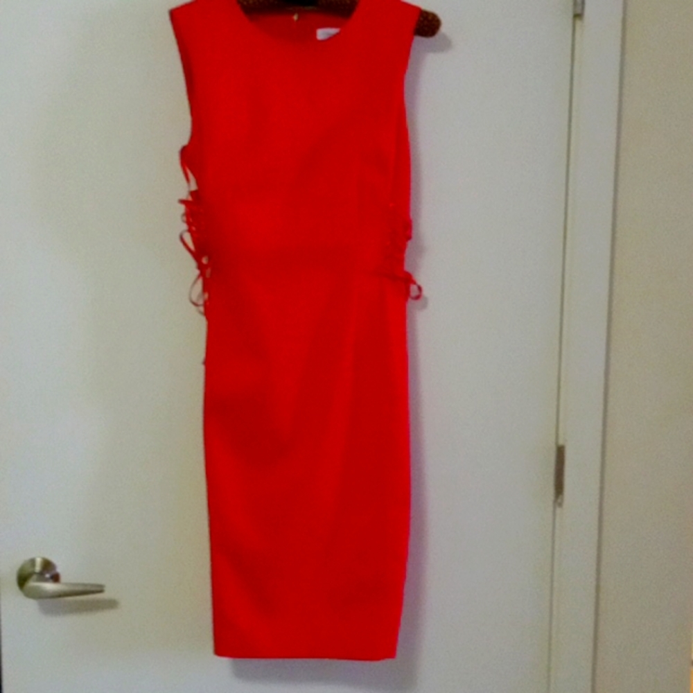 Pretty New Calvin Klien Pink Dress